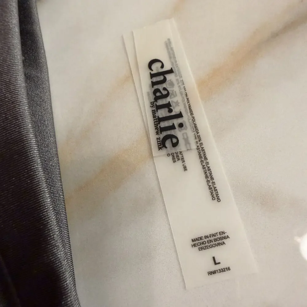 Charlie By MZ Mens Signature Color Chrome Muscle Swim Brief Silver Gray Large